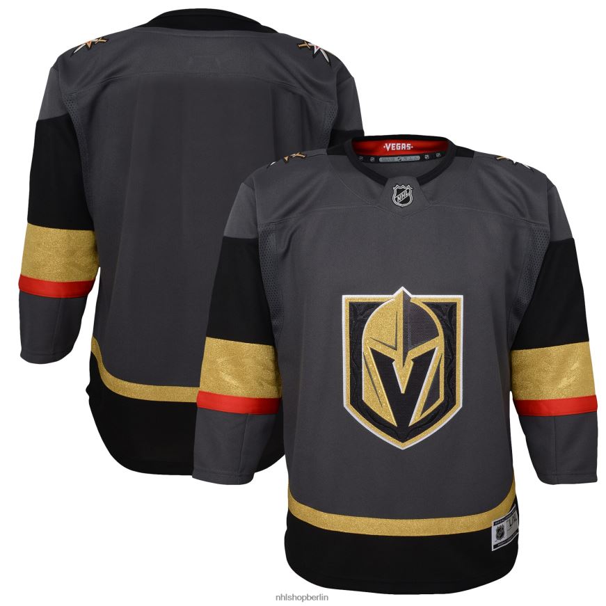 Jugend NHL Vegas Golden Knights Grey Alternative Premier Blanko-Trikot Kleidung BF680T1079